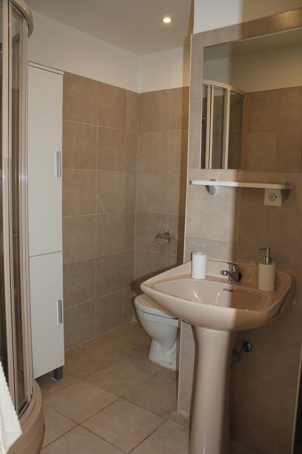 Viktorie Apartamento Frýdek-Místek Exterior foto